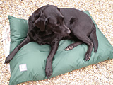 Danish Designs County Range Dog Duvet
