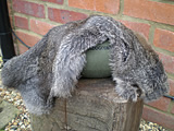 Treated Rabbit Skins