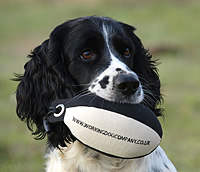 Working Dog Company™ wins Best New Shooting Accessory in IPC Media Shooting Industry Awards