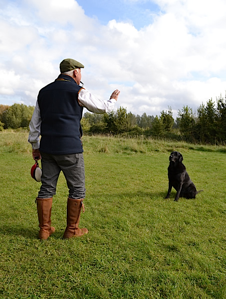 Gun Dog Advice and Training from Working Dog Company™